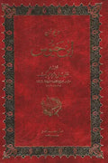 ديوان ابن حيوس (جزئين)
